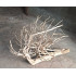 Unique Driftwood - 1 - Best Landscape for your Aquarium Tank