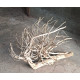 Unique Driftwood - 1 - Best Landscape for your Aquarium Tank