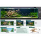 Unique Driftwood - 1 - Best Landscape for your Aquarium Tank