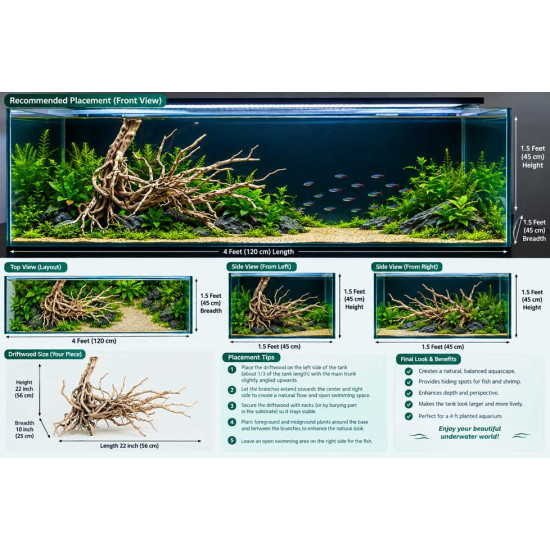 Unique Driftwood - 2 - Best Landscape for your Aquarium Tank - 2