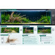 Unique Driftwood - 2 - Best Landscape for your Aquarium Tank - 2