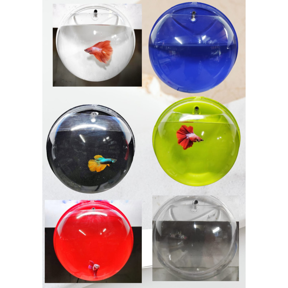 Premium Acrylic Wall Mounted Aquarium Fish Bowl / Wall Planter ...