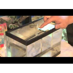 Water Test Hydrometer & Thermometer | must have all marine enthusiasts Water Test Hydrometer & Thermometer | must have all marine enthusiasts