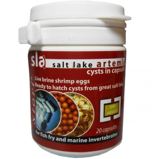 Salt Lake Artemia Bhrime Shrimps - 50g | 20 Capsules