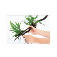 ADA Planted Aquarium Wood Tight (10m) ADA Planted Aquarium Wood Tight (10m)