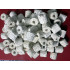 Aquarium Filter Media Burnt White Ceramic Ring 1 kg