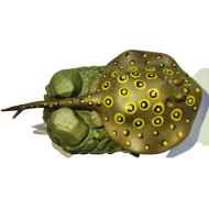 Aquarium Stingray Fish Toy Aquarium Stingray Fish Toy