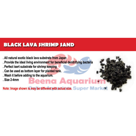 Black Lava Shrimp Sand
