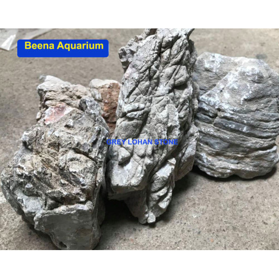 Grey Lohan Rock | Aquascaping Rock