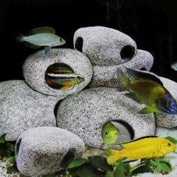 Hot Chichlid Stones Aquarium Ceramic Rock Cave Fish Tank Decoration - Model - 2 Hot Chichlid Stones Aquarium Ceramic Rock Cave Fish Tank Decoration - Model - 2