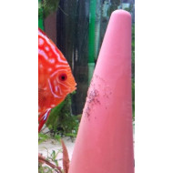 JBL DisCon | Spawning Cone for Discus and Angel Fishes JBL DisCon | Spawning Cone for Discus and Angel Fishes