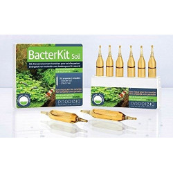 Prodibio Bacter Kit Soil | 6 vials | Kit to seed an aquarium | Soil nutrients Prodibio Bacter Kit Soil | 6 vials | Kit to seed an aquarium | Soil nutrients