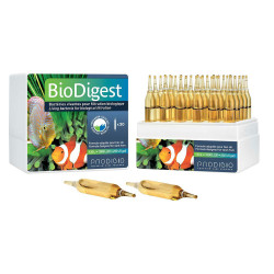 Prodibio Bio Digest | 30 Vials | Imported from France Prodibio Bio Digest | 30 Vials | Imported from France