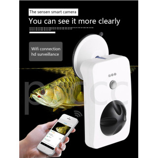 aquarium camera wifi